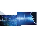 Biometric authentication of voice and others