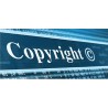 Intellectual property digital