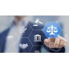 Assistance aux procédures contentieuses dans le cyberespace